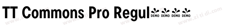 TT Commons Pro Regul字体转换 TT Commons Pro Regul字体转换